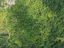 LOT 18, PART 3 TOWNLINE ROAD | Central Frontenac Ontario | Slide Image Eight