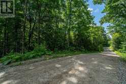 LOT 18, PART 3 TOWNLINE ROAD | Central Frontenac Ontario | Slide Image Nine