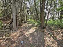 0000 CEDARSTONE ROAD W | Stone Mills Ontario | Slide Image Ten