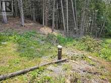 0000 CEDARSTONE ROAD W | Stone Mills Ontario | Slide Image Four