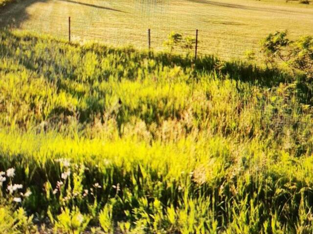 0 SUTHERLAND ROAD Cobden Ontario, K0J 1K0 - Vacant Land For Sale