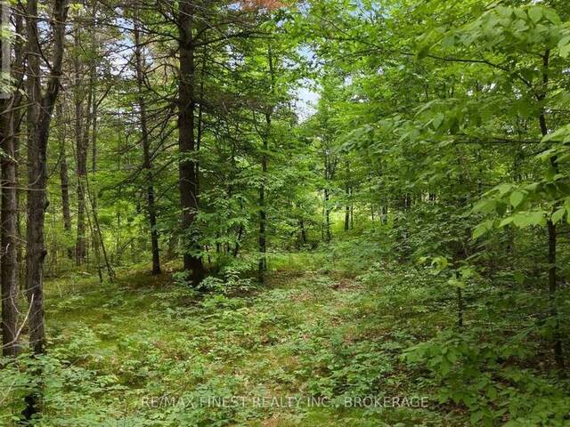LOT 16 ECHO LAKE ROAD Central Frontenac Ontario, K0H 2K0 - Vacant Land For Sale