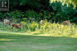 PT 2 SPRING MILL LANE | Inverary Ontario | Slide Image Thirty-seven