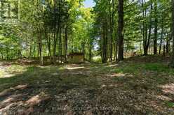 PT 2 SPRING MILL LANE | Inverary Ontario | Slide Image Four