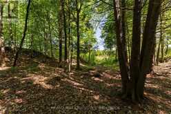 PT 2 SPRING MILL LANE | Inverary Ontario | Slide Image Five