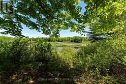 PT 2 SPRING MILL LANE | Inverary Ontario | Slide Image Six