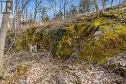 6 CRANBERRY COVE LANE | Leeds and the Thousand Islands Ontario | Slide Image Thirteen