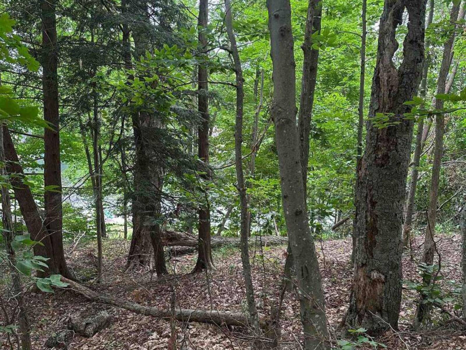 0 SILVER ROCK LANE, South Frontenac, Ontario K0H 2W0