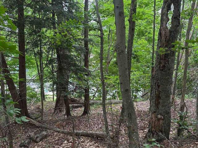 0 SILVER ROCK LANE South Frontenac Ontario, K0H 2W0 - Waterfront Land For Sale