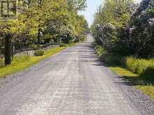 LOT 17 SOUTH SHORE ROAD | Loyalist Ontario | Slide Image Forty-three