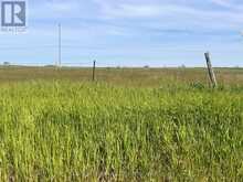 LOT 17 SOUTH SHORE ROAD | Loyalist Ontario | Slide Image Eight