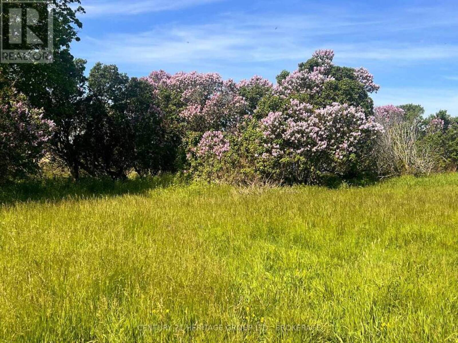 LOT 17 SOUTH SHORE ROAD, Loyalist, Ontario K0H 2S0