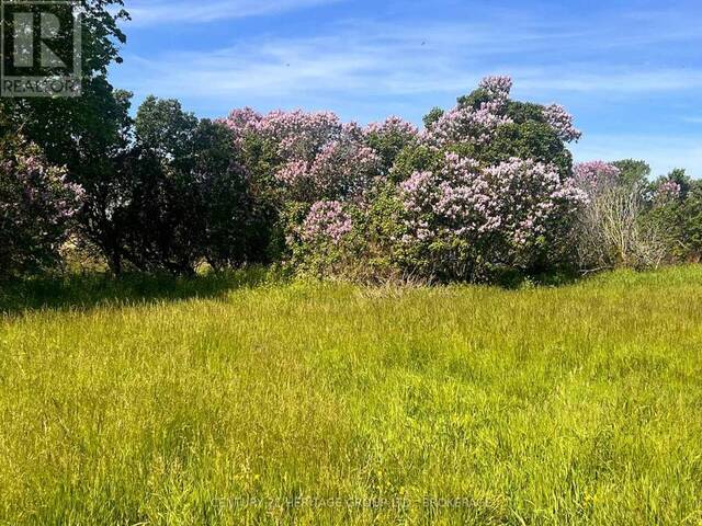 LOT 17 SOUTH SHORE ROAD Loyalist Ontario, K0H 2S0 - Vacant Land For Sale