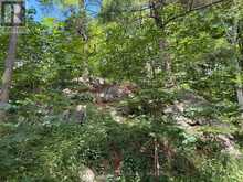 1135 TWIN ISLAND LANE | Inverary Ontario | Slide Image Thirty-one