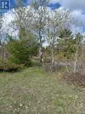 0 DWYER LANE | Stone Mills Ontario | Slide Image Six