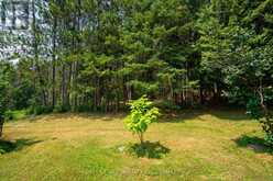 1031 JAMES ROAD | North Frontenac Ontario | Slide Image Seven