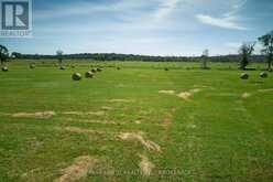 LOT 13 FRONT ROAD | Loyalist Ontario | Slide Image Seven