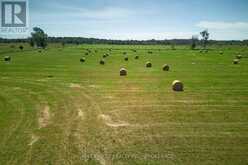 LOT 13 FRONT ROAD | Loyalist Ontario | Slide Image Ten