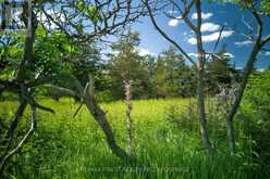 LOT 13 FRONT ROAD | Loyalist Ontario | Slide Image Eleven