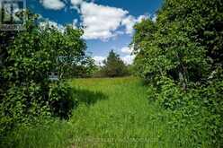 LOT 13 FRONT ROAD | Loyalist Ontario | Slide Image Twelve