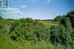 LOT 13 FRONT ROAD | Loyalist Ontario | Slide Image Thirty-one