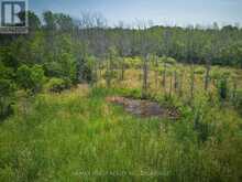 LOT 13 FRONT ROAD | Loyalist Ontario | Slide Image Thirty-two