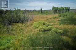 LOT 13 FRONT ROAD | Loyalist Ontario | Slide Image Thirty-three