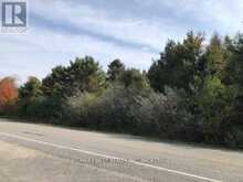 1380 WESTPORT ROAD | Central Frontenac Ontario | Slide Image Ten