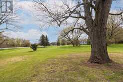 7349 COUNTY RD 2 | Greater Napanee Ontario | Slide Image Six