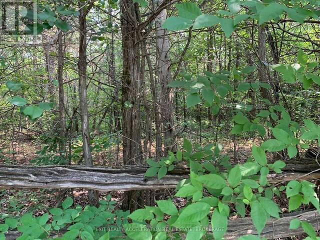 0 DENRIDGE ROAD Greater Napanee Ontario, K0K 2Z0 - Vacant Land For Sale
