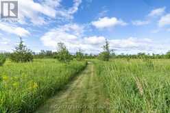 00 COUNTY RD 8 | Greater Napanee Ontario | Slide Image Twelve