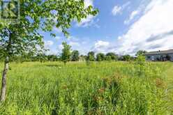 00 COUNTY RD 8 | Greater Napanee Ontario | Slide Image Sixteen