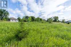 00 COUNTY RD 8 | Greater Napanee Ontario | Slide Image Nine