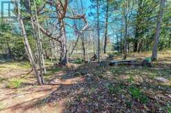1839 OAK FLATS ROAD | Central Frontenac Ontario | Slide Image Seven