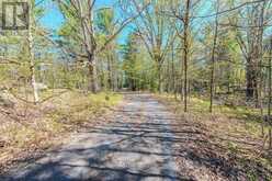 1839 OAK FLATS ROAD | Central Frontenac Ontario | Slide Image Nine