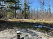 LOT 3 LEVEQUE ROAD | South Frontenac Ontario | Slide Image Four