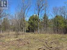 LOT 4 LEVEQUE ROAD | South Frontenac Ontario | Slide Image One