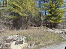LOT 4 LEVEQUE ROAD | South Frontenac Ontario | Slide Image Two