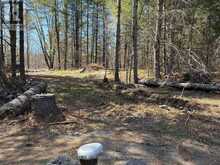 LOT 4 LEVEQUE ROAD | South Frontenac Ontario | Slide Image Three