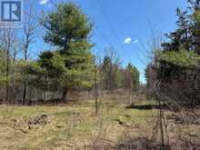 LOT 4 LEVEQUE ROAD | South Frontenac Ontario | Slide Image Five