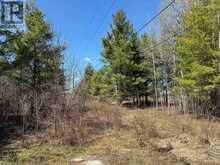 LOT 4 LEVEQUE ROAD | South Frontenac Ontario | Slide Image Seven