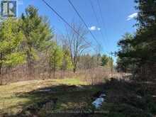 LOT 4 LEVEQUE ROAD | South Frontenac Ontario | Slide Image Eight