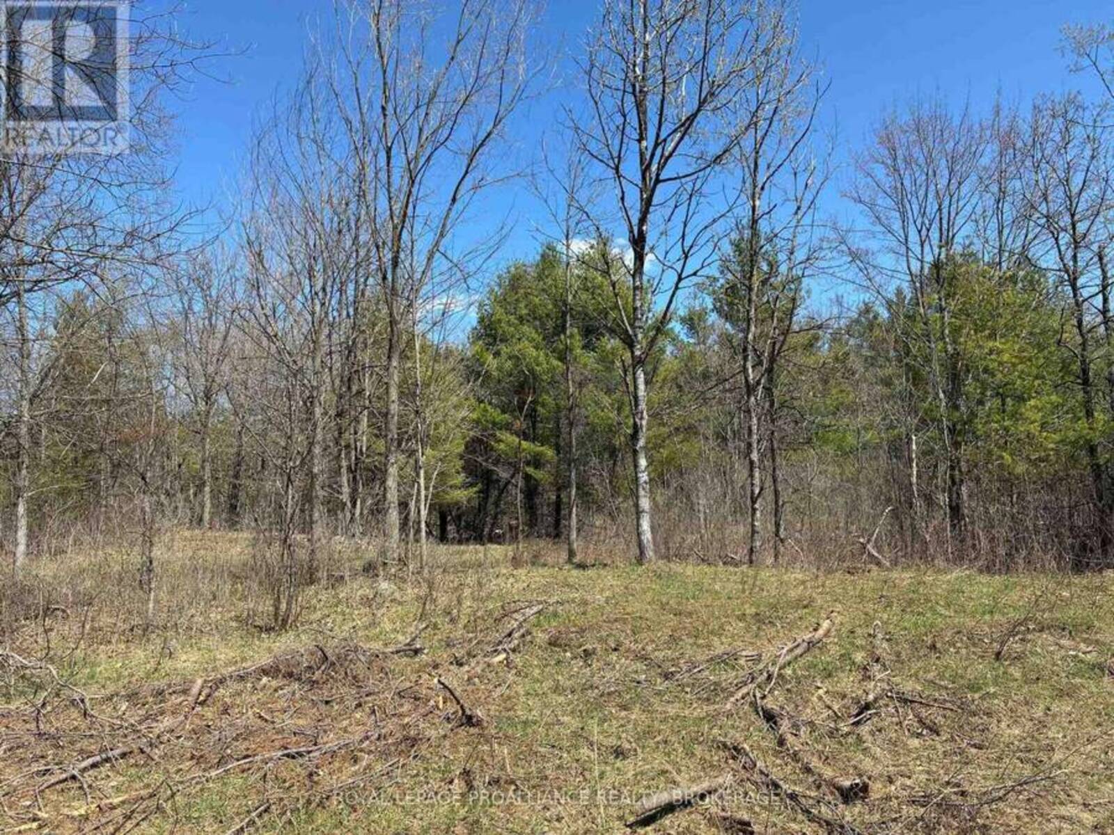 LOT 4 LEVEQUE ROAD, South Frontenac, Ontario K0H 2W0