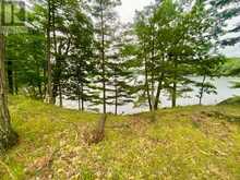 3025 OLD FOURTEEN ISLAND LANE | South Frontenac Ontario | Slide Image Two