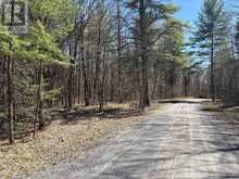 LOT 0 CENTRE PARCEL SWEETFERN LANE | South Frontenac Ontario | Slide Image Three
