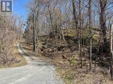 LOT 0 CENTRE PARCEL SWEETFERN LANE | South Frontenac Ontario | Slide Image Four
