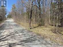 LOT 0 CENTRE PARCEL SWEETFERN LANE | South Frontenac Ontario | Slide Image Five