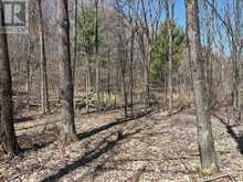LOT 2 SWEETFERN LANE | South Frontenac Ontario | Slide Image Three