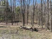 LOT 2 SWEETFERN LANE | South Frontenac Ontario | Slide Image Four