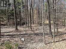 LOT 2 SWEETFERN LANE | South Frontenac Ontario | Slide Image Five